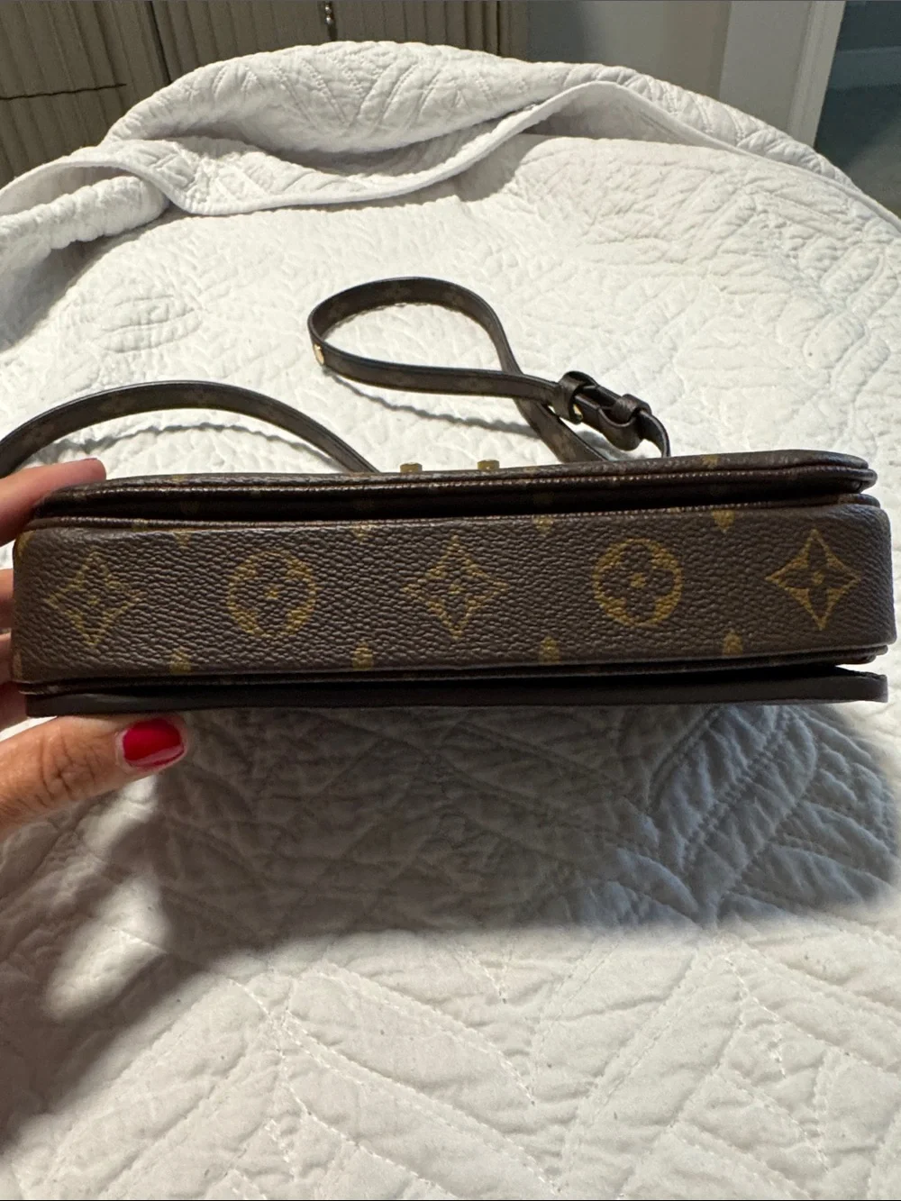 Louis Vuitton Monogram Pochette Métis East West